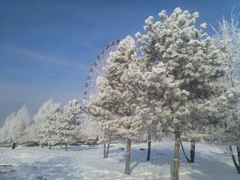 Frozen trees on snow covered field against sky