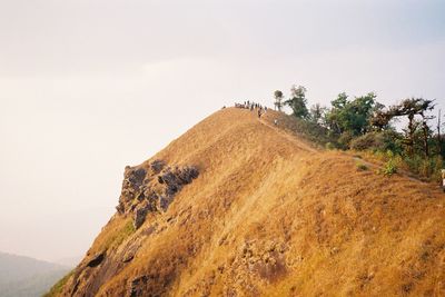 Scenic view of land against clear sky