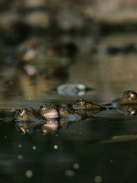 Close up of water