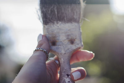 Close-up of hand holding hands