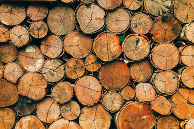 Full frame shot of logs in forest