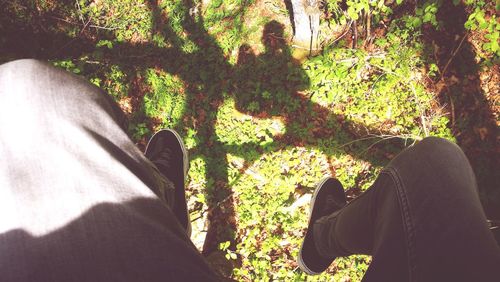 Low section of man and woman standing on tree