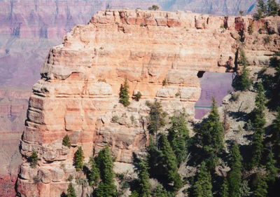 A bluff  located in the grand canyon, north rim.