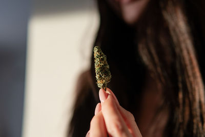 Midsection of woman holding marijuana