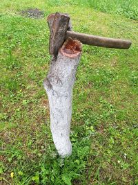 Close-up of tree stump on field