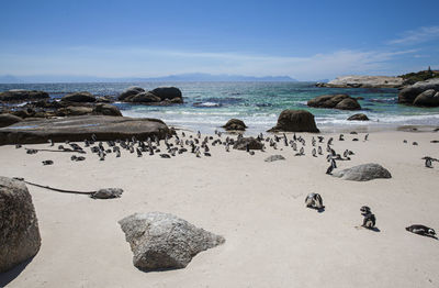 Scenic view of rocks on beach against sky