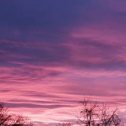 Low angle view of silhouette trees against sky during sunset