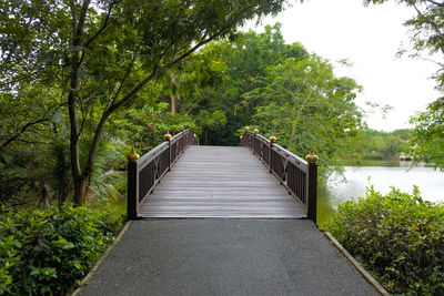 Empty footbridge over lake amidst trees