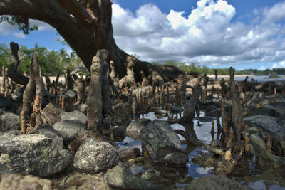 Panoramic shot of rocks on land against sky