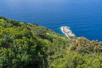 High angle view of trees and sea