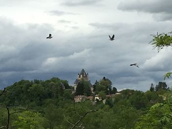 Low angle view of birds flying against cloudy sky