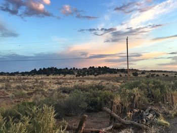 Scenic view of field against sky during sunset
