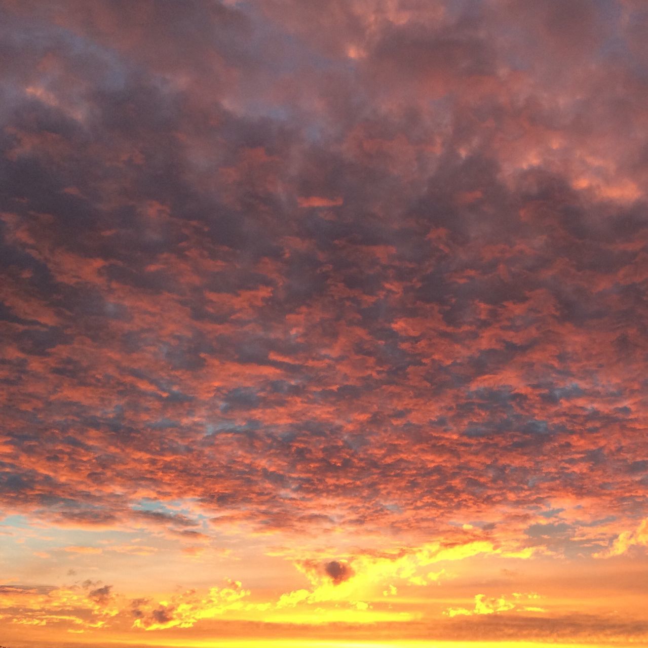 sunset, sky, cloud - sky, beauty in nature, scenics, orange color, tranquility, low angle view, tranquil scene, cloudy, dramatic sky, nature, cloudscape, idyllic, sky only, backgrounds, cloud, weather, overcast, majestic