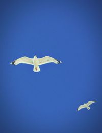 Low angle view of seagulls flying against cloudy sky