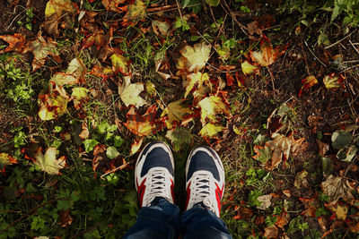 Low section of person standing on autumn leaves