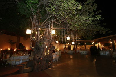 People on illuminated street at night