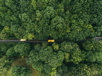 High angle view of plants against trees