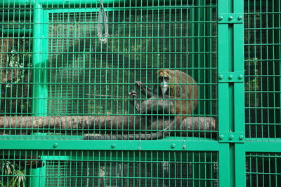 Close-up of cage in the dark