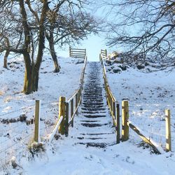 Snow covered footpath and trees on field