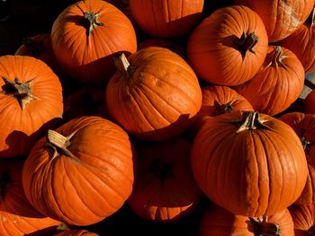 Close-up of pumpkins for sale