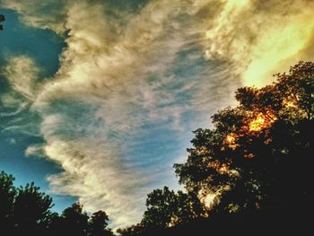 Low angle view of trees against cloudy sky
