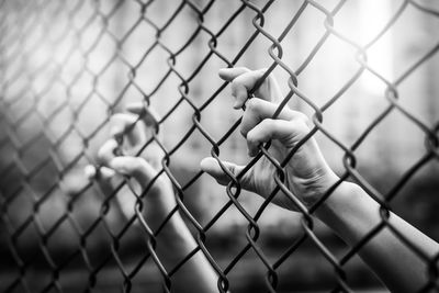 Close-up of hand holding chainlink fence