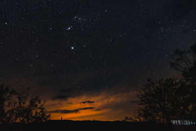 Low angle view of silhouette trees against sky at night