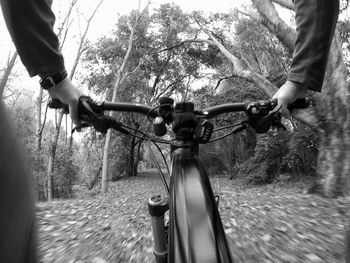 People riding bicycle in forest