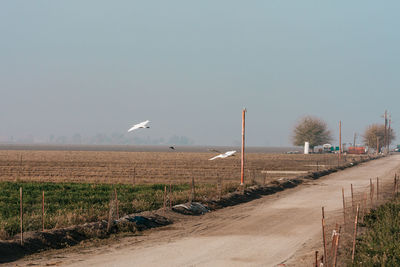 Street amidst field against clear sky