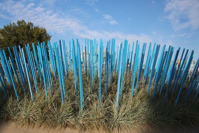 Close-up of blue sky