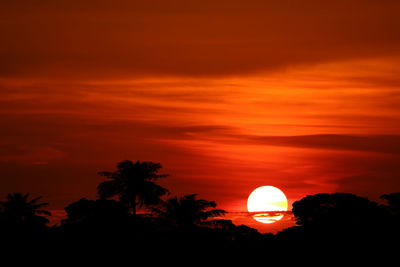 Silhouette trees against orange sky