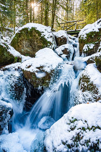 View of waterfall in forest