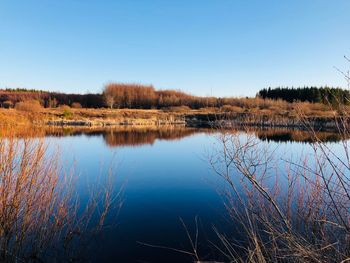 Scenic view of lake against clear blue sky