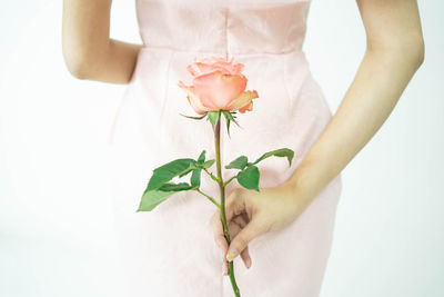 Midsection of woman holding flowering plant against white background