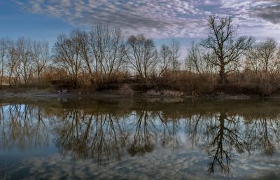 Reflection of bare trees in lake against sky