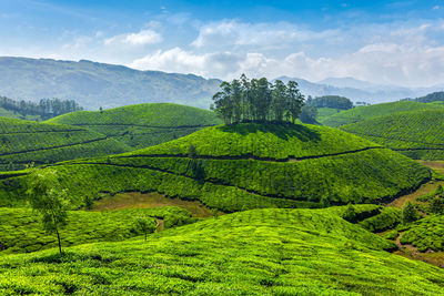 Scenic view of landscape against sky