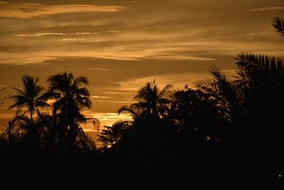 Silhouette trees against sky during sunset