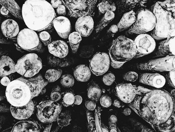 Full frame shot of logs