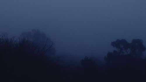 Silhouette trees on landscape against sky at night