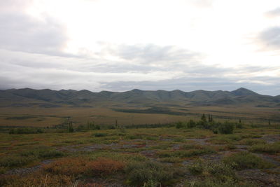 Scenic view of landscape against sky