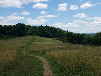 Scenic view of field against sky