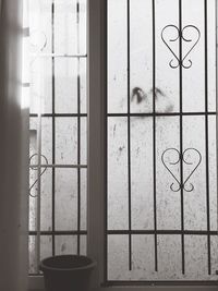 Close-up of metal window