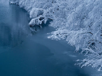 Winter river edge