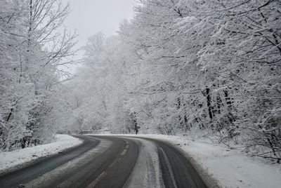 Road amidst trees against sky during winter