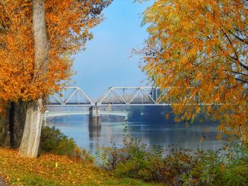 Bridge over river during autumn