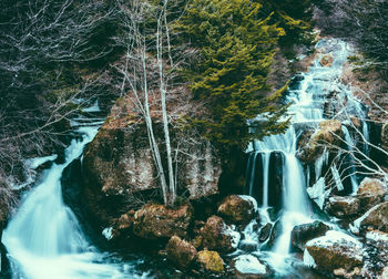 Scenic view of waterfall in forest
