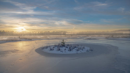 Winter on a bog