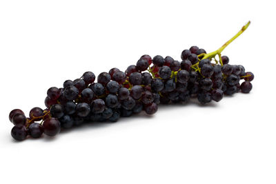 High angle view of grapes against white background