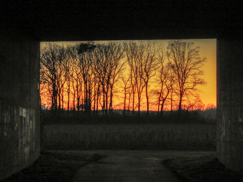 Silhouette bare trees on landscape against sky during sunset