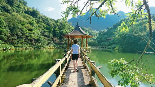 Rear view of woman on footbridge by lake